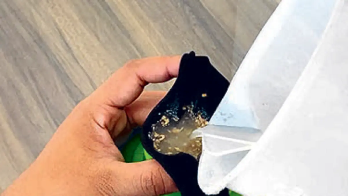 Pestisida alami dari sari jahe parut yang dicampur air. (DOK JAWAPOS)