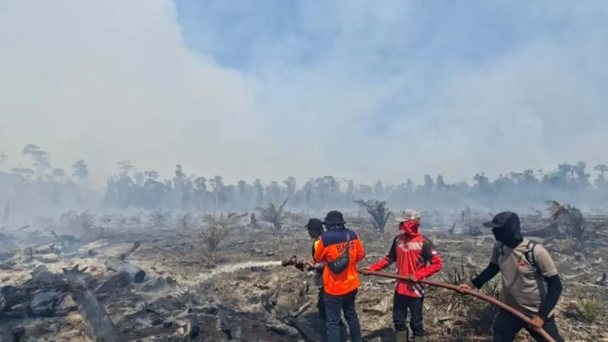 Petugas BPBD melakukan upaya pemadaman api di salah satu lokasi kebakaran lahan yang terjadi di kawasan Kecamatan Bubon, Kabupaten Aceh Barat. Hingga Kamis (11/6). (ANTARA/HO-BPBD Aceh Barat)