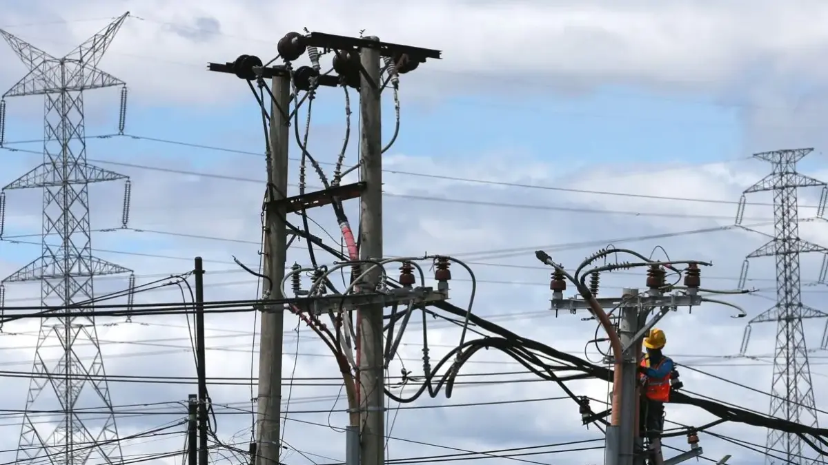 Petugas PLN melakukan perbaikan dan perawatan untuk mengoptimalkan jaringan listrik. (Antara)