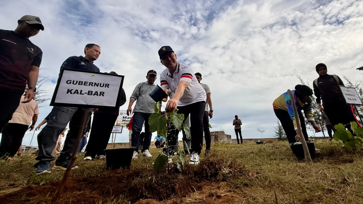 Gubernur Kalbar Ria Norsan menanam pohon di Pantai Camar Bulan dalam rangkaian program Gema Membangun Desa di Desa Temajuk Kecamatan Paloh Kabupaten Sambas pada Sabtu (13/6). (MEIDY KHADAFI/PONTIANAK POST)