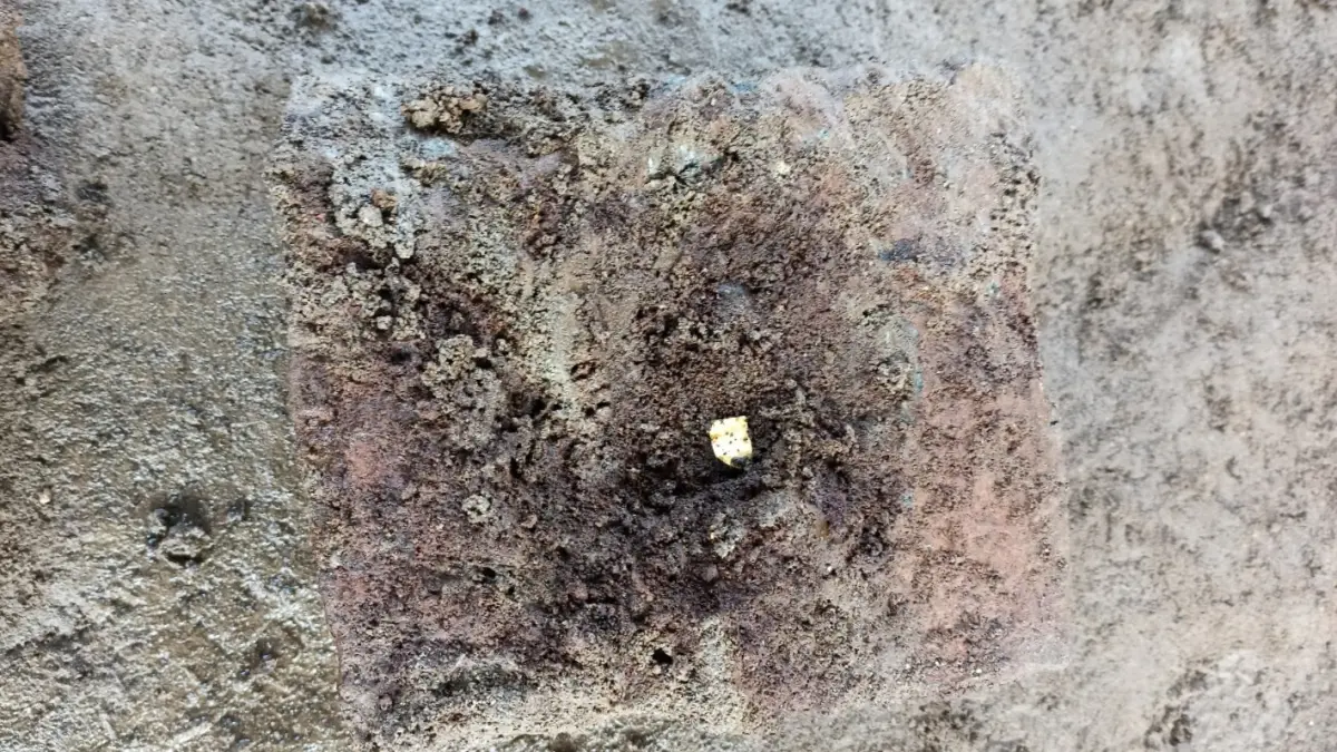LOGAM KUNO – Lempengan logam jenis elektrum yang ditemukan di dalam peripih Candi Losari, Kabupaten Magelang, Jawa Tengah. Hasil pengujian Balai Pelestarian Kebudayaan Jawa Tengah menunjukkan logam tersebut memiliki kandungan yang setara dengan emas 16,5 karat dan diduga menjadi bagian dari ritual kesakralan candi pada masa Kerajaan Mataram Kuno.