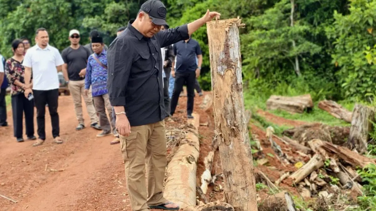 TINJAU: Bupati Ketapang, Alexander Wilyo, meninjau Jembatan Benipis Dua di Pangkalan Teluk, Jumat (12/6).(IST)