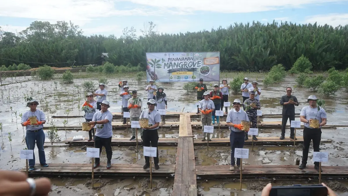 Sejumlah peserta menanam bibit mangrove di kawasan pesisir Desa Sungai Kupah, Kabupaten Kubu Raya. Penanaman ini menjadi bagian dari upaya rehabilitasi ekosistem pesisir untuk menahan abrasi, menyerap karbon, dan menjaga keberlanjutan kehidupan masyarakat pesisir. (HARYADI/PONTIANAK POST)