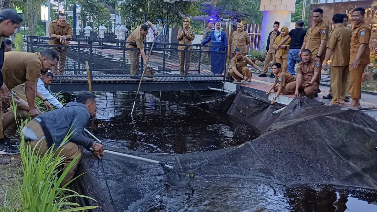 Bupati Kubu Raya, Sujiwo memantau panen dini ikan nila di kanal ikan Kompleks Kantor Bupati Kubu Raya, Senin (22/6). Panen dilakukan akibat penurunan pH air yang dipicu tingginya curah hujan sehingga mengancam kelangsungan hidup ikan