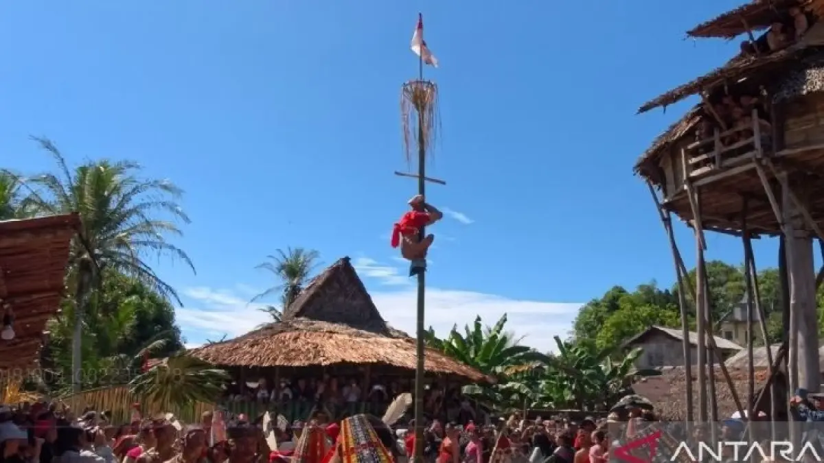 Panjat bambu terbalik menjadi atraksi unik dan satu-satunya di dunia yang ditampilkan dalam Perayaan Nyobeng 2026 di Dusun Sebujit Baru, Desa Hlibuei, Kecamatan Siding, Kabupaten Bengkayang, Kalimantan Barat. (ANTARA/Rendra Oxtora)