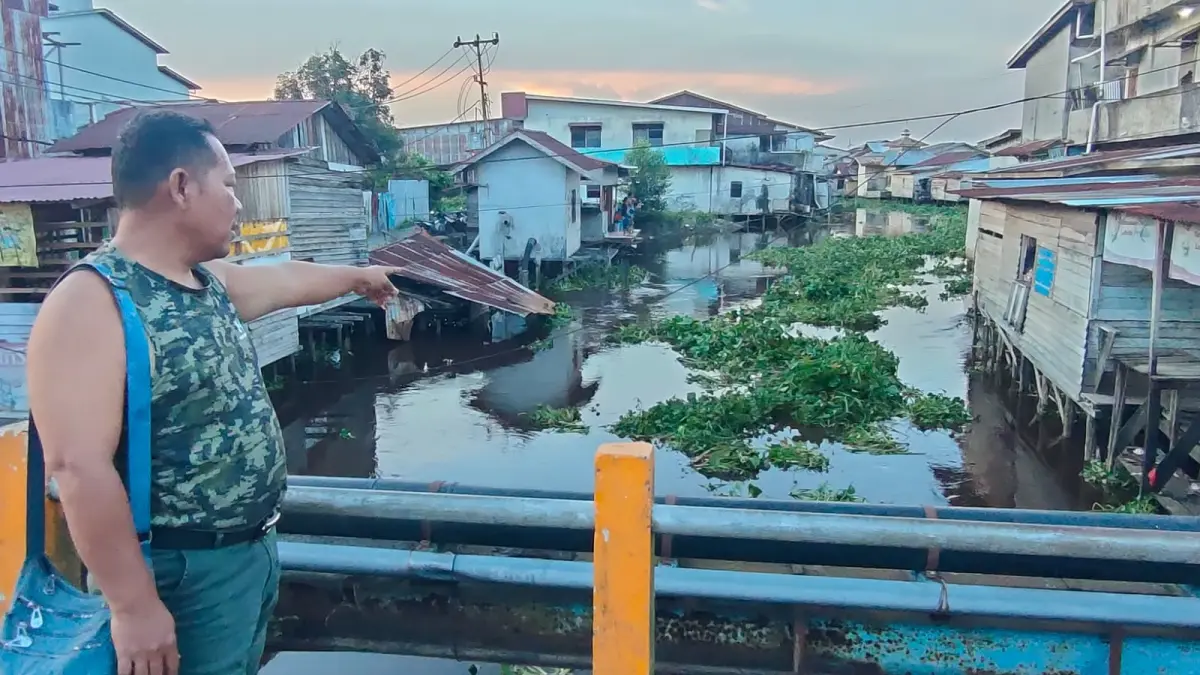 Hartono menunjukkan tumpukan kumpai yang memenuhi Sungai Pinyuh.