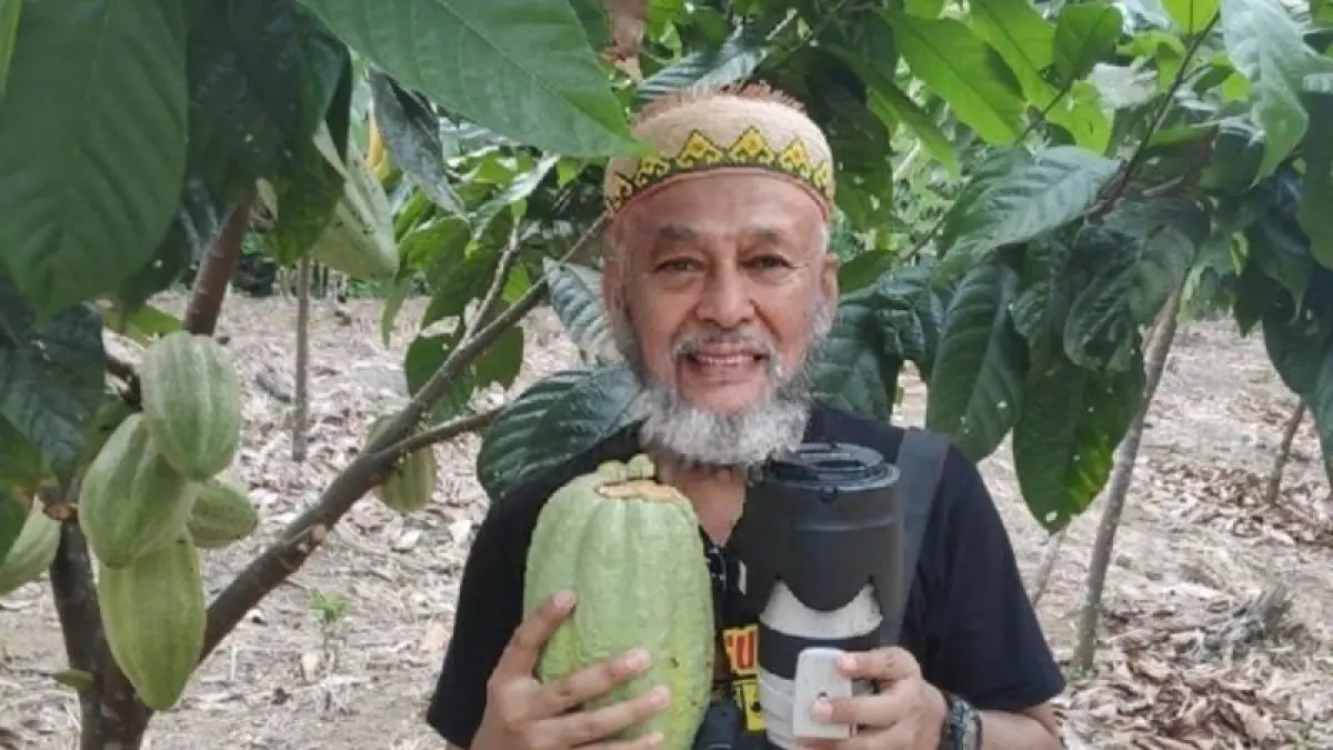 Ilustrasi: Salah satu buah kakao yang baru dipetik pekebun di Mahulu, Kalimantan Timur. (ANTARA/ M Ghofar)