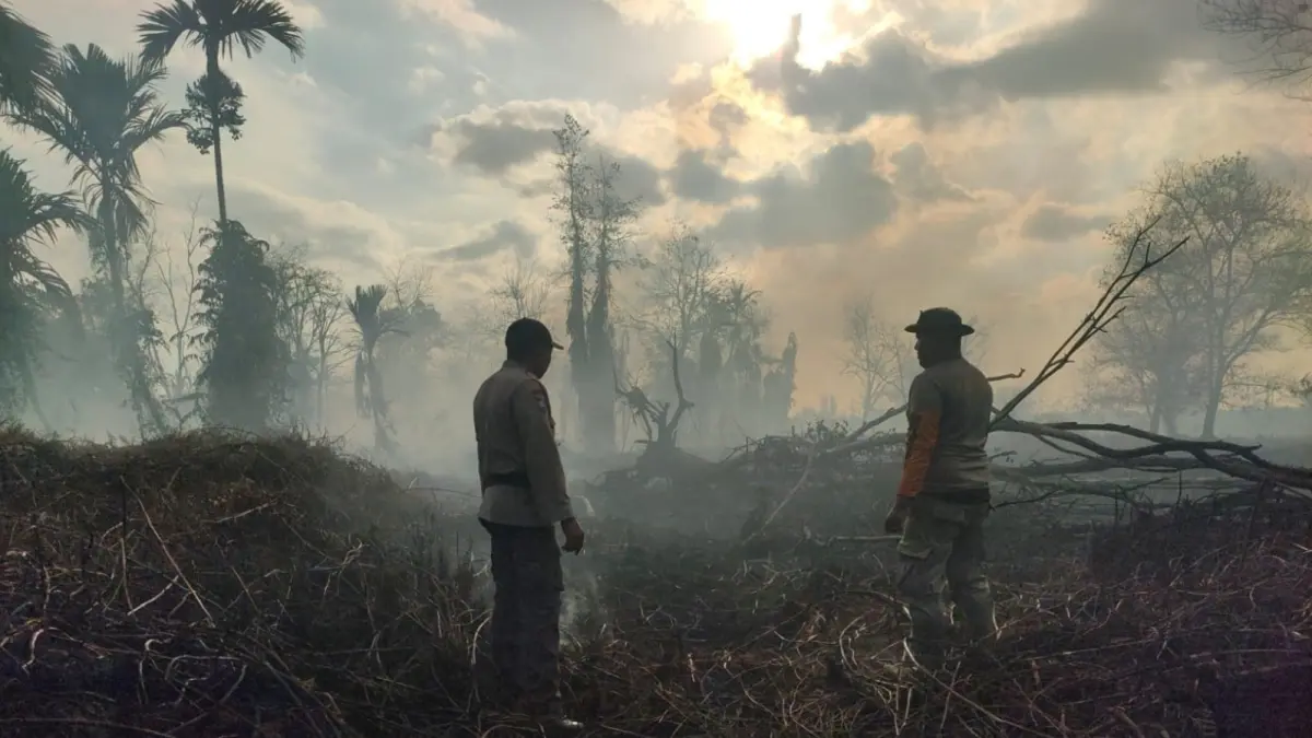 Lokasi kebakaran lahan di Rasau Jaya Umum usai berhasil dipadamkan tim gabungan pada Kamis (25/6). (ISTIMEWA)