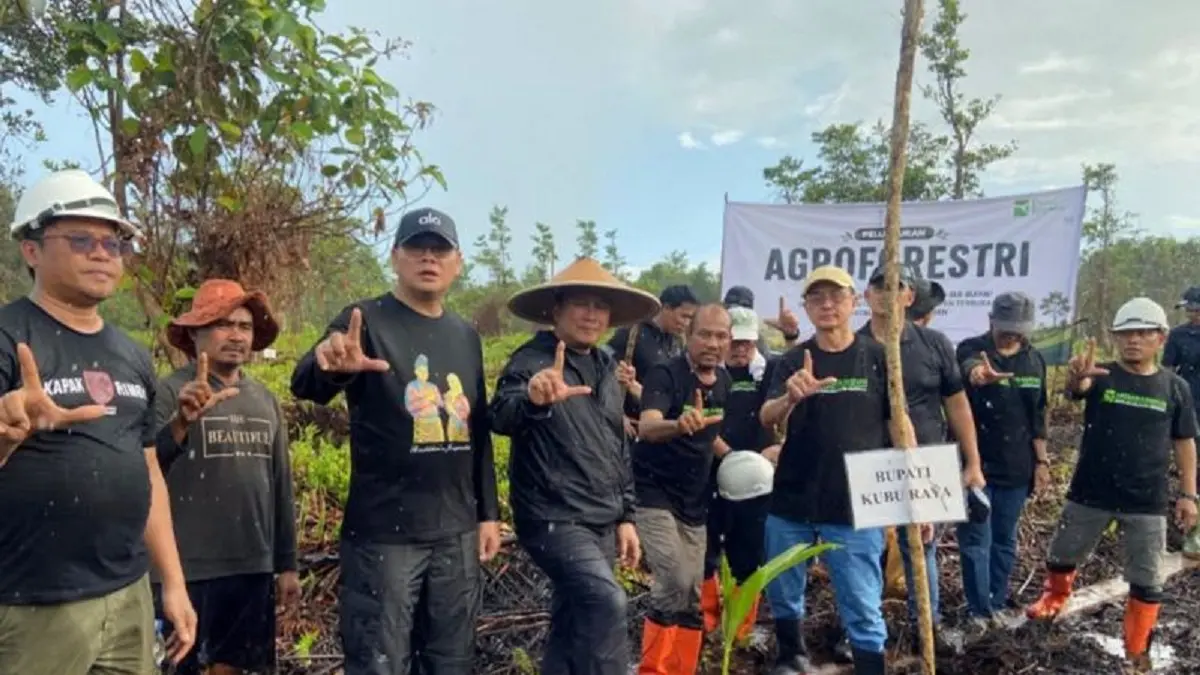 Pemkab Kubu Raya mengembangkan model agroforestri pada lahan kritis di Blok Sungai Amoy. (Antara)