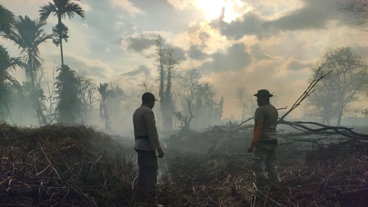 Lokasi kebakaran lahan di Rasau Jaya Umum usai berhasil dipadamkan tim gabungan. (ISTIMEWA)