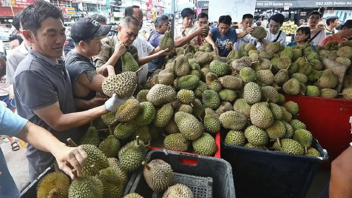 Warga setempat memilih durian di kios SS2 Durian House, Petaling Jaya, Selangor, Malaysia. (SIN CHEW DAILY/ASIA NEWS NETWORK)
