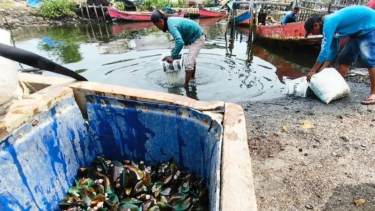 Kondisi pangkalan kerang mulai sepi dari perahu-perahu nelayan di Desa Pantai Makmur, Kecamatan Tarumajaya, Kabupaten Bekasi, Sabtu. (ANTARA/Pradita Kurniawan Syah).
