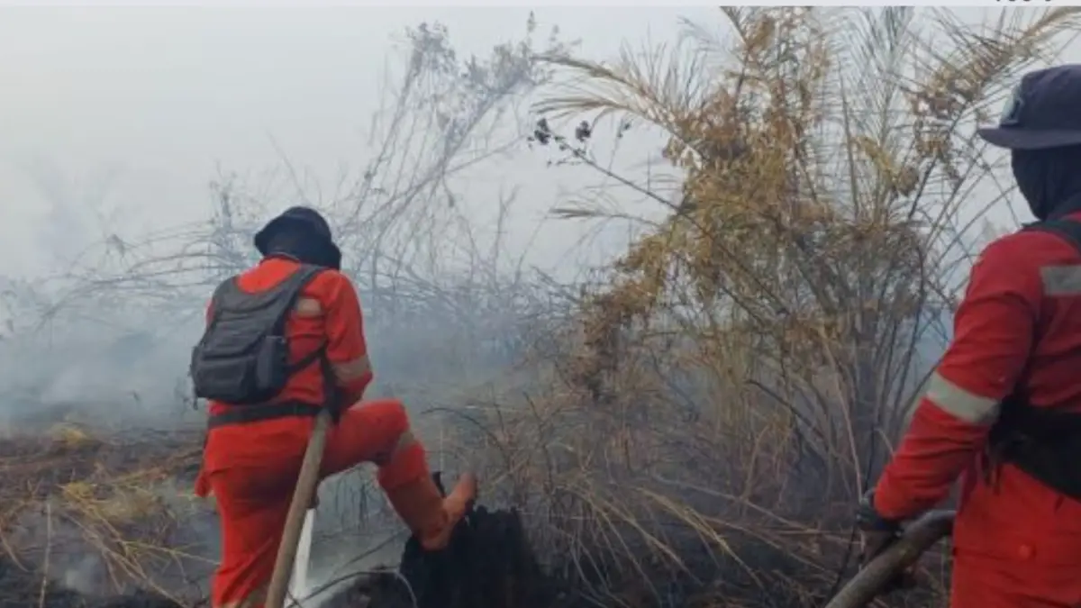 Tim Manggala Agni telah melakukan pemadaman karhutla di Inderagiri Hulu Riau selama dua hari. (ANTARA/HO-Manggala Agni)