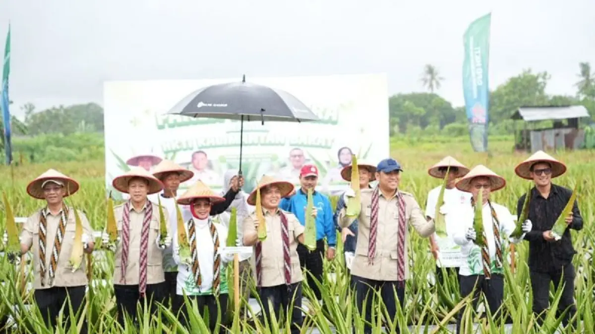 Wakil Menteri Pertanian Republik Indonesia Sudaryono didampingi Gubernur Kalbar Ria Norsan memanen lidah buaya di Aloevera Center Pontianak. (ANTARA)