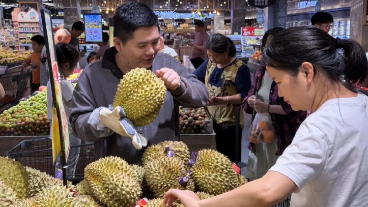Seorang pelanggan memilih durian di sebuah supermarket di Nanning, Daerah Otonomi Guangxi Zhuang, China, 2 Mei 2026. Tingginya permintaan durian di China membuka peluang bagi Indonesia untuk memperluas ekspor ke pasar yang bernilai sekitar Rp131 triliun per tahun. (Xinhua/Zhao Huan/HO-Antara)