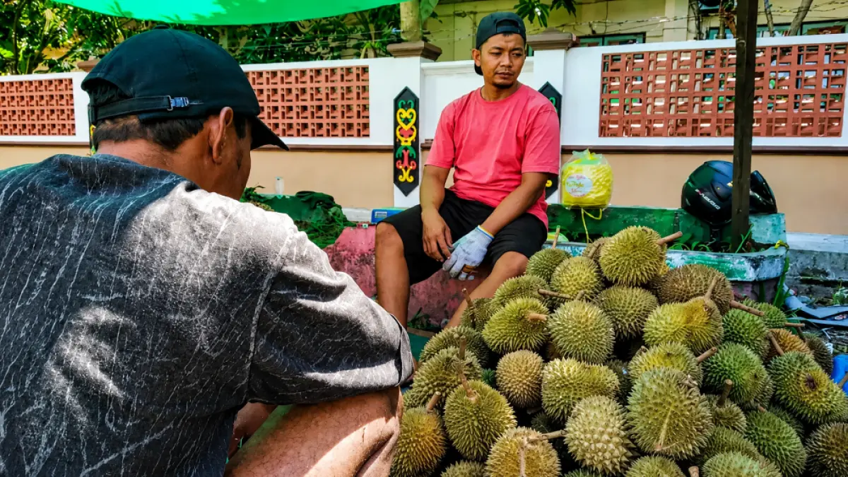 Pedagang melayani pembeli durian asal Kalimantan Barat di Sampit, Kabupaten Kotawaringin Timur, Kalimantan Tengah. Musim panen membuat pasokan melimpah sehingga harga durian mulai Rp10 ribu per buah dan menarik minat masyarakat. (Miftah/Kalteng Pos/Jawa Pos)