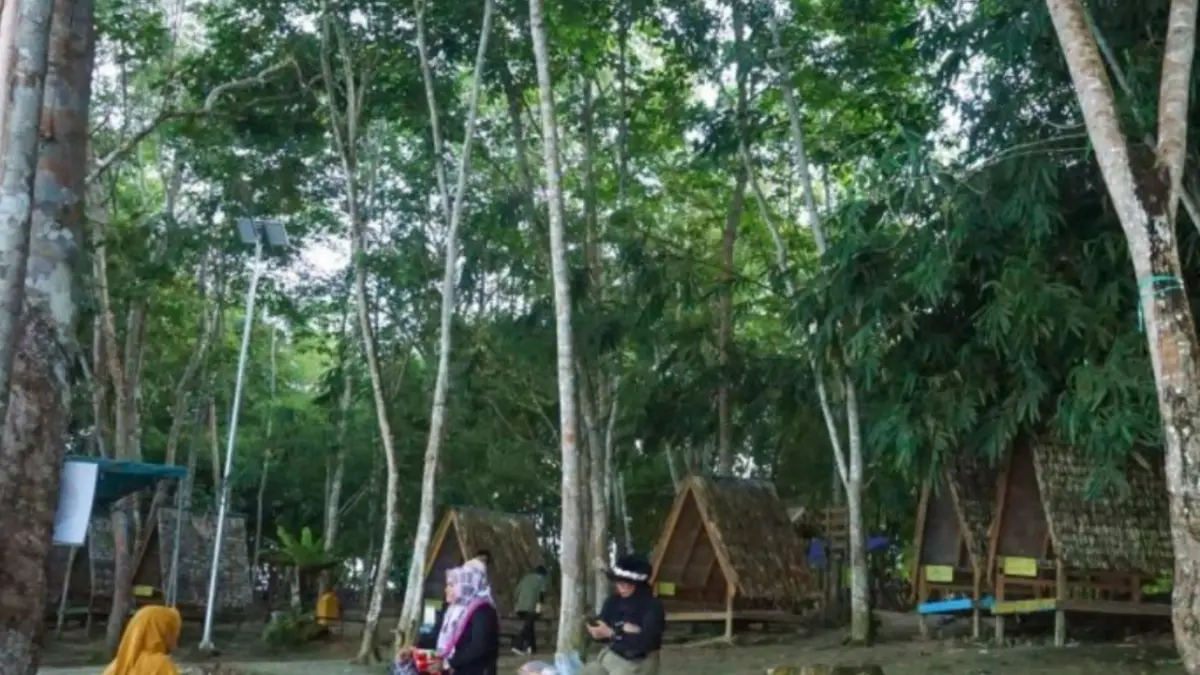 Arsip - Destinasi wisata alam yang dikelola kelompok tani hutan di Balikpapan, Kalimantan Timur. (ANTARA Foto/Aditya Nugroho)