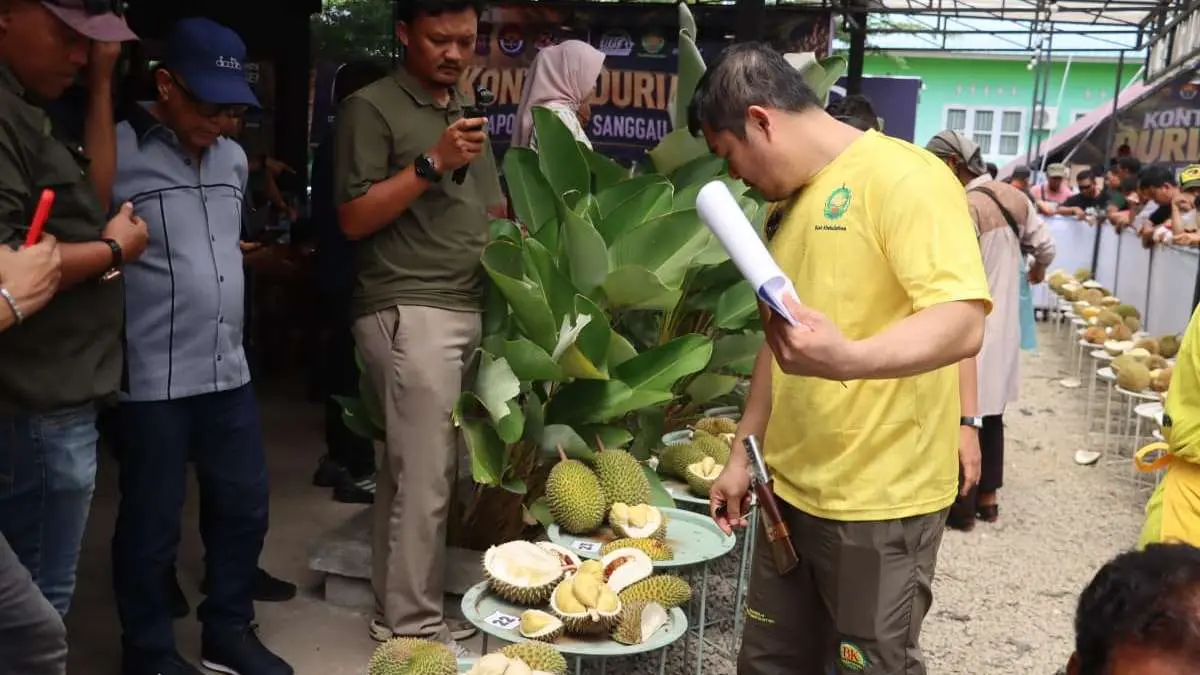 Pakar sekaligus pengusaha durian Kalimantan Barat dan nasional, Edy Hartono, memberikan penilaian terhadap peserta Kontes Durian Kapolres Sanggau Cup 2026. Penjurian dilakukan berdasarkan cita rasa, aroma, tekstur, warna daging buah, dan penampilan fisik untuk menentukan durian terbaik asal Kabupaten Sanggau dan sekitarnya.