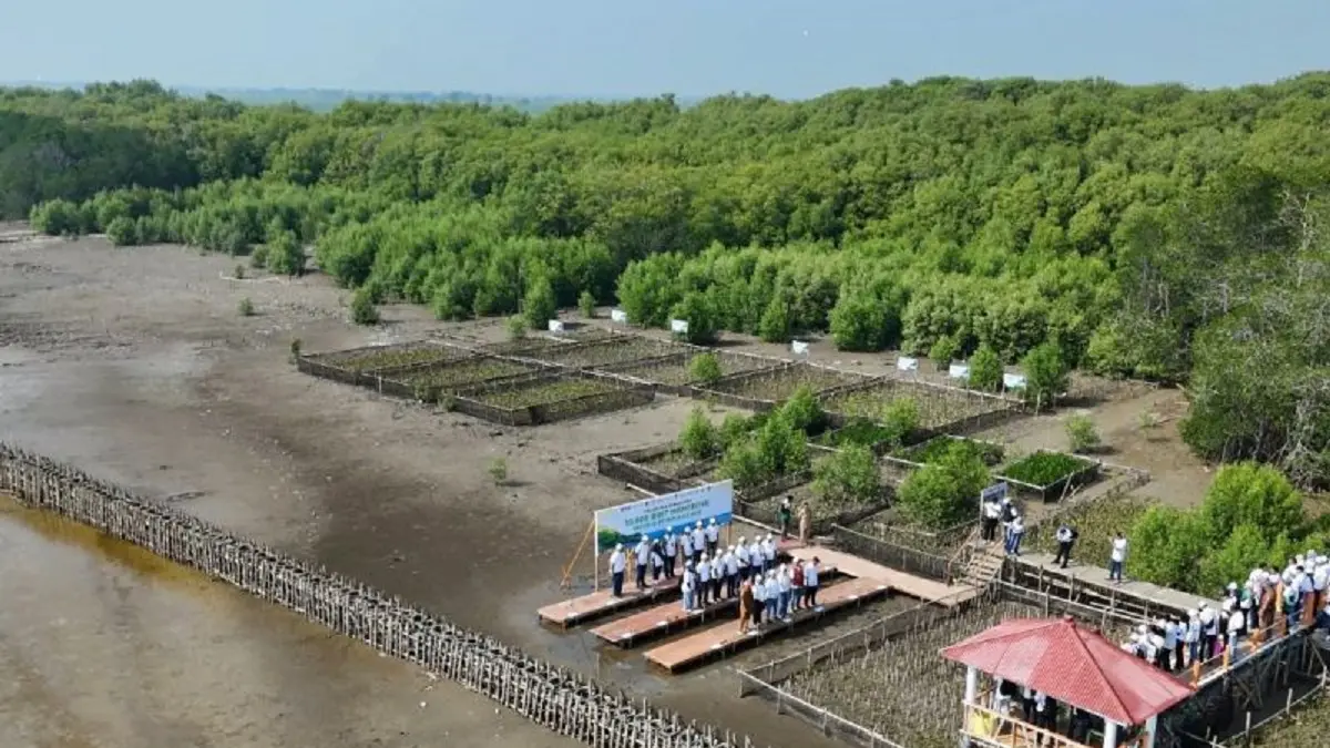 Kegiatan Penanaman mangrove dan penahan ombak di wilayah pesisir utara Karawang. (ANTARA/HO-Pupuk Kujang)