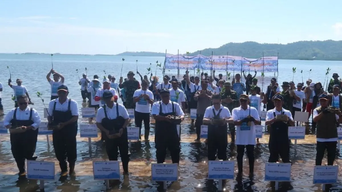 Penanaman bibit mangrove di Labuan Alas, Kabupaten Sumbawa, Nusa Tenggara Barat, Selasa (7/7). (ANTARA/Sugiharto Purnama)