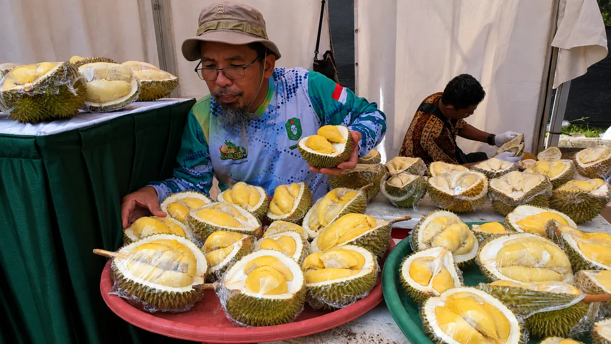 Beragam jenis durian asli Kalbar dihidangkan dalam Festival Buah dan Florikultura Kalbar di Pontianak, Kalimantan Barat, Rabu (15/11/2023). (ANTARA FOTO/Jessica Wuysang)