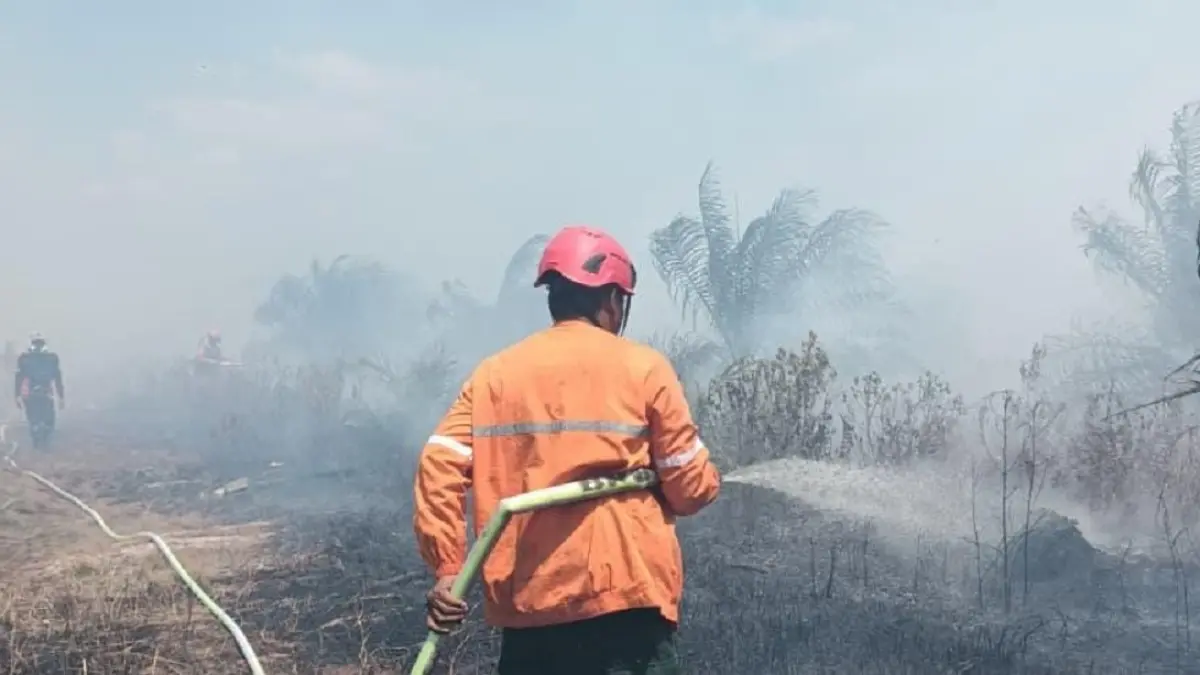 PEMADAMAN: Petugas BPBD Kayong Utara berjibaku memadamkan api kebakaran lahan di Desa Simpang Tiga, Kayong Utara.  