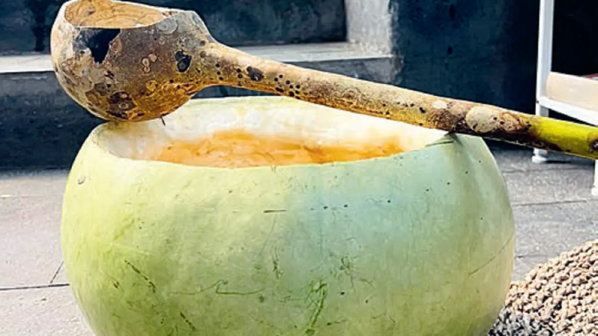 Buah yang sudah dikeringkan bisa digunakan sebagai alat musik tradisional, wadah air, mangkuk besar, hingga tempat penyimpanan makanan. (DWI ATIKA SARI/DOK JAWAPOS)
