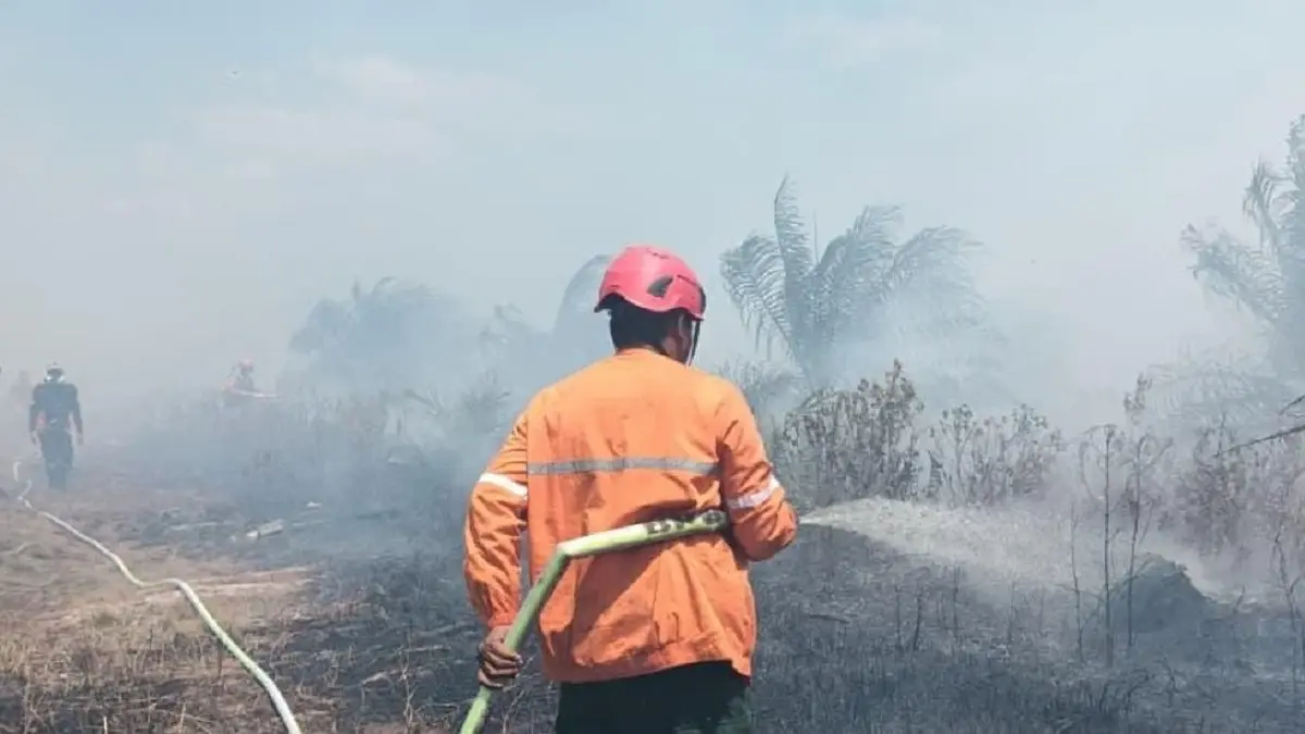  Petugas BPBD Kayong Utara berjibaku memadamkan api kebakaran lahan di Desa Simpang Tiga, Kayong Utara. (IST)