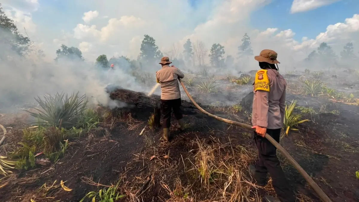 Anggota Satbrimob Polda Kalbar padamkan api di lahan gambut Desa Limbung, Sungai Raya, Kubu Raya, Kalimantan Barat pada Selasa (14/7/2026).