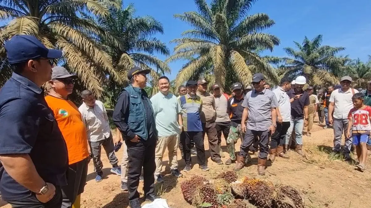Bupati Bengkayang Sebastianus Darwis meninjau perkebunan plasma Petani di Desa Karimunting, Kecamatan Sungai Raya Kepulauan, Kabupaten Bengkayang, Kalbar (ANTARA/Narwati)