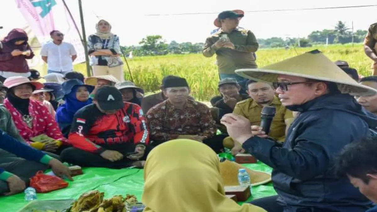 Bupati Kubu Raya Sujiwo berdialog dengan petani saat Panen Raya Kelompok Tani Tunas Harapan I di Parit Ngabeh, Desa Arang Limbung, Selasa (14/7). 