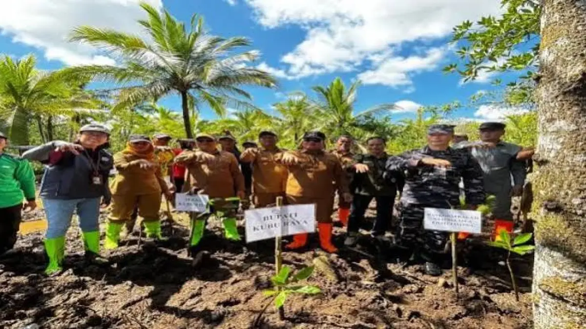 Bupati Kubu Raya Sujiwo memimpin penanaman mangrove di Desa Batu Ampar, Kecamatan Batu Ampar, Selasa (19/5). (DOK PONTIANAK POST) 