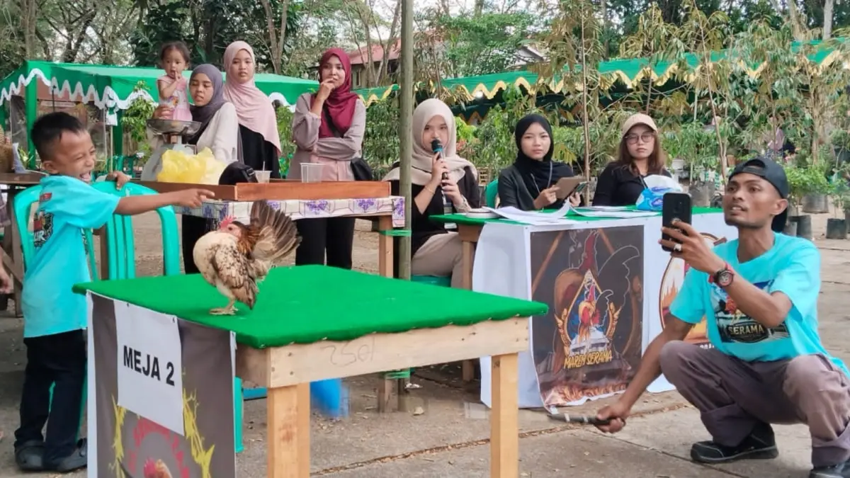 Suasana kontes kecantikan ayam serama di Pameran Flora dan Fauna Bumi Khatulistiwa yang digelar pada Sabtu (18/7). (WANDI /PONTIANAK POST)