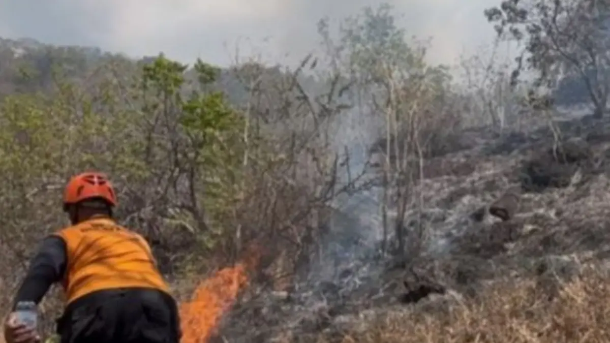 Tim petugas memadamlan api karhurla di wilayah perbukitan Buleleng, Bali. (ANTARA/HO-BPBD Buleleng)