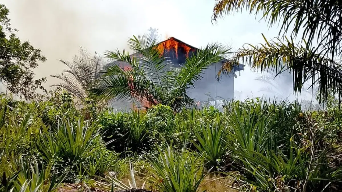 Kebakaran hutan dan lahan (Karhutla) di Kabupaten Kayong Utara terus meluas. (ISTIMEWA)