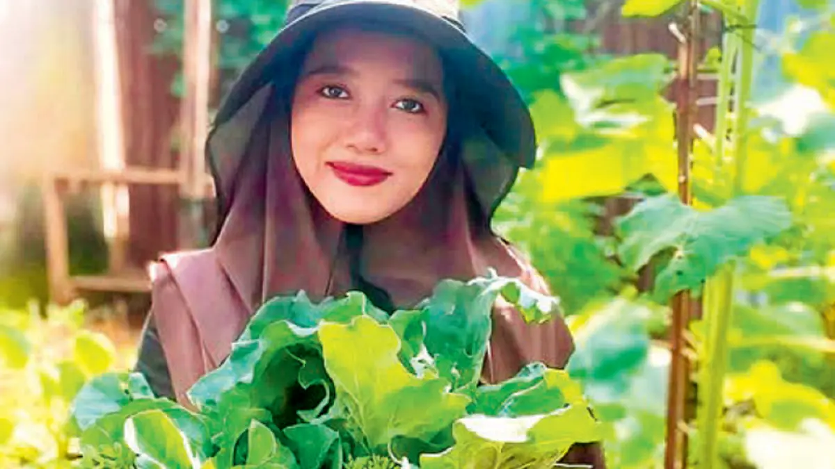 Sugianti memanen selada. Dia juga menanam curly kale yang bisa dipetik satu setengah bulan setelah benih disemai. (DOK JAWAPOS)