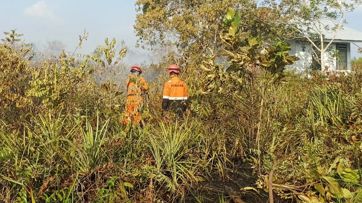 Badan Penaggulangan Bencana Daerah (BPBD) Kabupaten Kayong Utara saat ini memfokuskan penanganan kebakaran hutan dan lahan (Karhutla). 