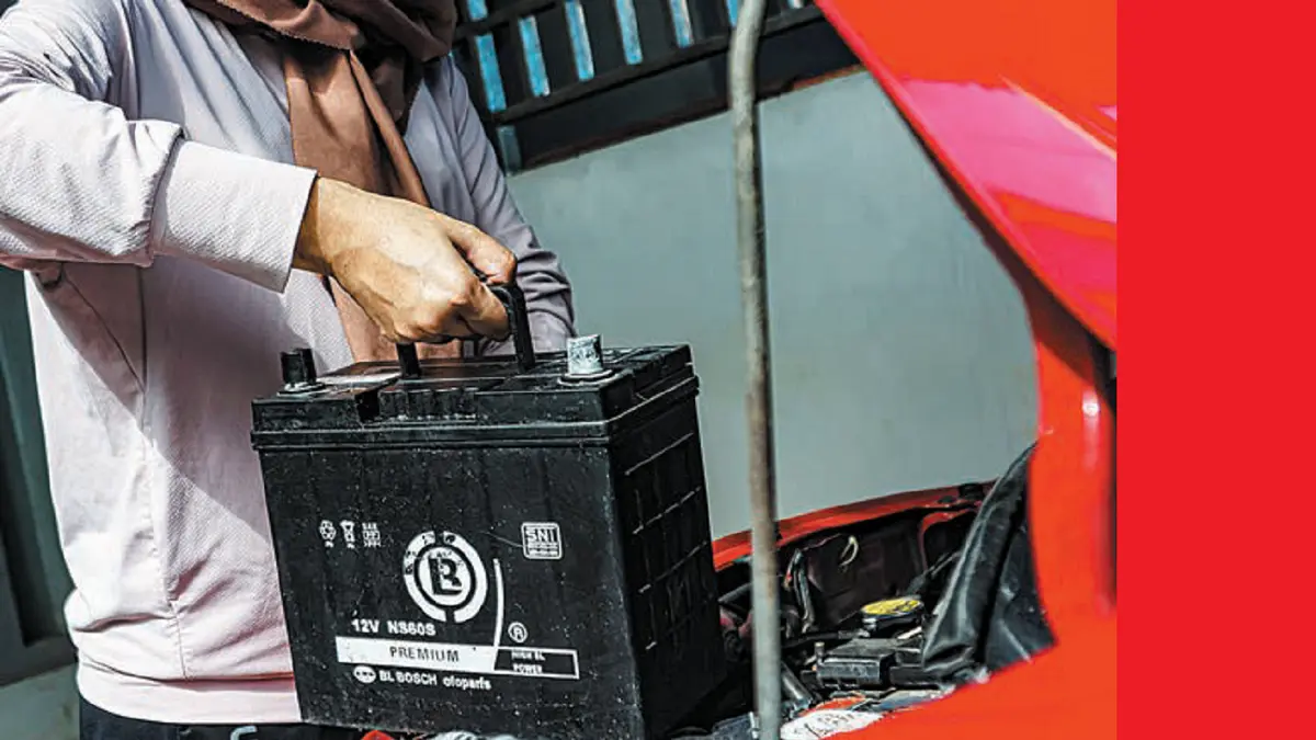 Agar aki tahan lama, perlu memahami cara perawatannya. (DOK JAWAPOS)