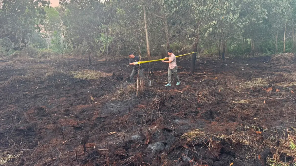 ondisi lahan pascakebakaran di Desa Parit Baru, Sungai Raya, Kubu Raya, yang kini menjadi lokasi penyelidikan polisi.