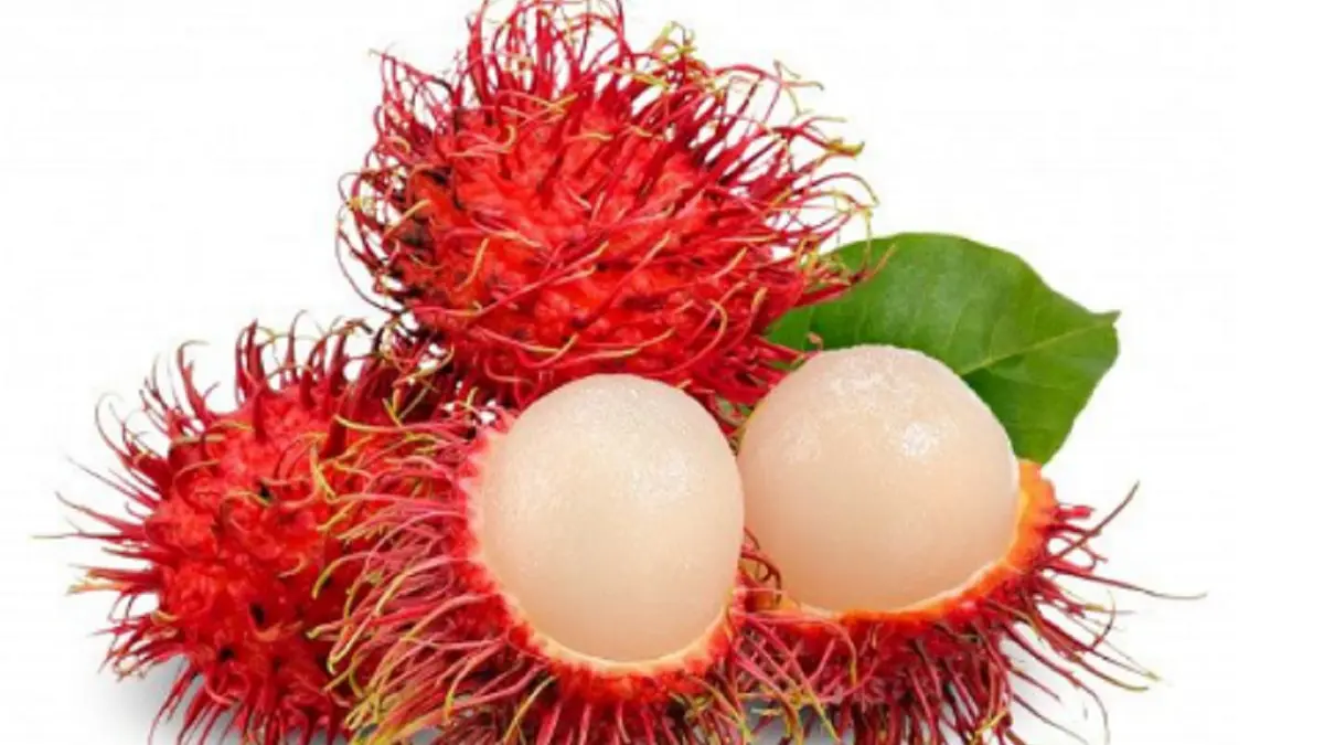 Rambutan (RADAR JEMBER/JAWAPOS GRUP)