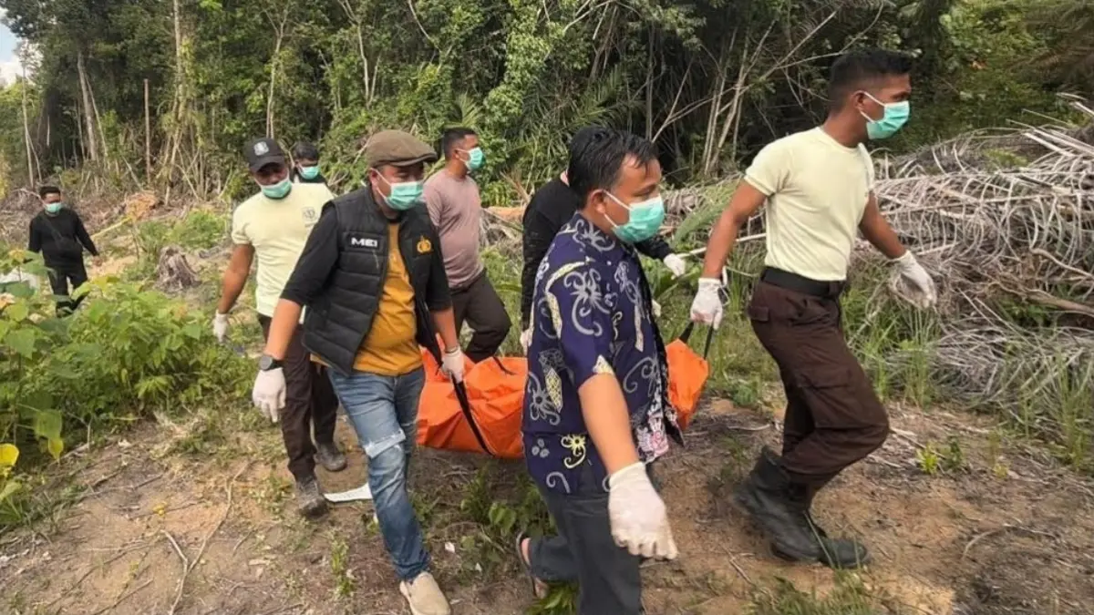 Polisi mengevakuasi jasad korban pembunuhan yang dikubur di areal perkebunan kelapa sawit di Kecamatan Manis Mata, Jumat (24/7). (ISTIMEWA)