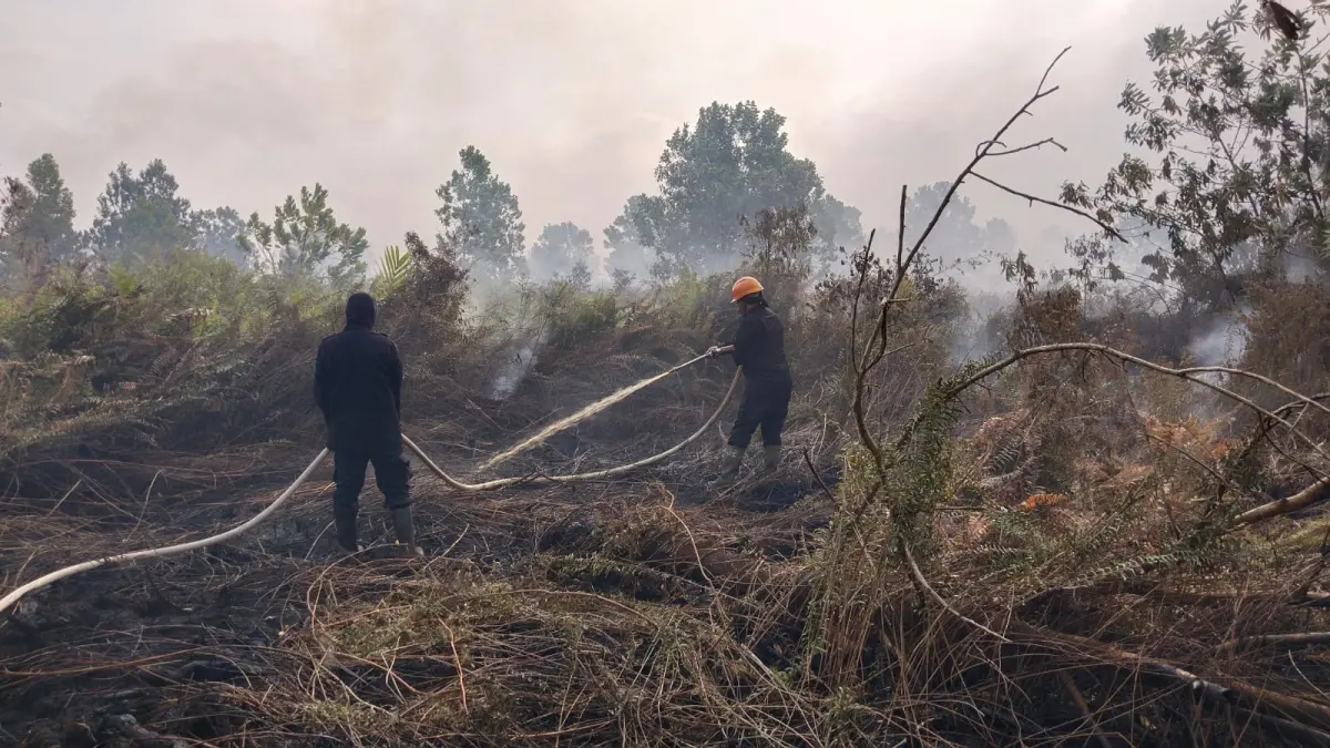 BERJIBAKU: Personel Satbrimob Polda Kalbar berjibaku memadamkan api yang membakar lahan di Kecamatan Sungai Raya, Kabupaten Kubu Raya, Minggu (26/7/2026). Respons cepat dilakukan guna menekan dampak kebakaran lahan serta melindungi permukiman warga dari ancaman karhutla Kubu Raya. /IST