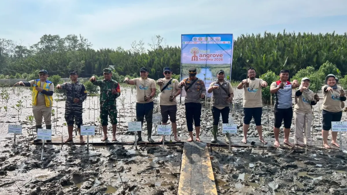 HARI MANGROVE: Penanaman mangrove dan pengembangan inovasi Geo Mangrove RB-5 di Desa Sungai Kupah dalam rangka peringatan Hari Mangrove Sedunia, Minggu (26/7). (IST)
