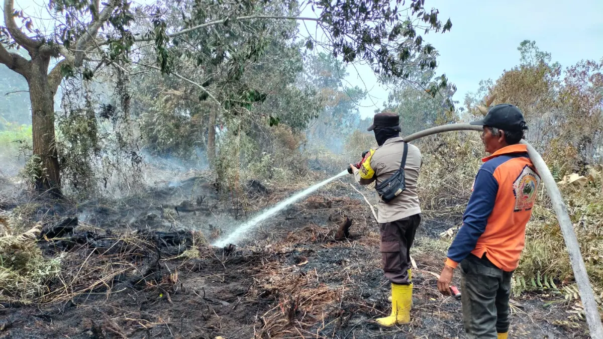 BERJIBAKU PADAMKAN KARHUTLA: Bhabinkamtibmas Kelurahan Sungai Bulan Aiptu Deni Susanto bersama anggota Masyarakat Peduli Api (MPA) 46 Sungai Bulan memadamkan kebakaran lahan gambut di Kelurahan Sungai Bulan, Kecamatan Singkawang Utara, Sabtu (25/7/2026). Respons cepat tim gabungan berhasil mengendalikan kobaran api di lahan seluas sekitar 5.000 meter persegi sebelum meluas ke area sekitar. /IST