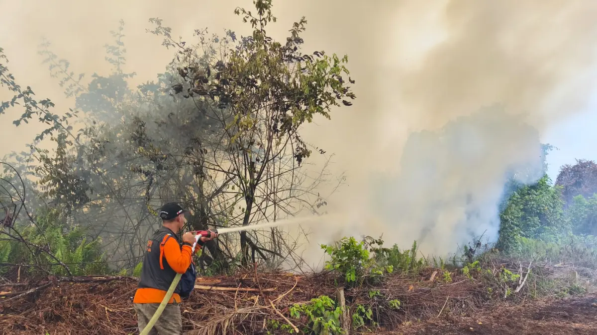 Tim BPBD Kalbar melakukan pemadaman karhutla di sekitar Kantor Dinas Pertanian Kabupaten Kubu Raya yang berdekatan dengan kawasan Bandara Internasional Supadio, Senin (27/7). 