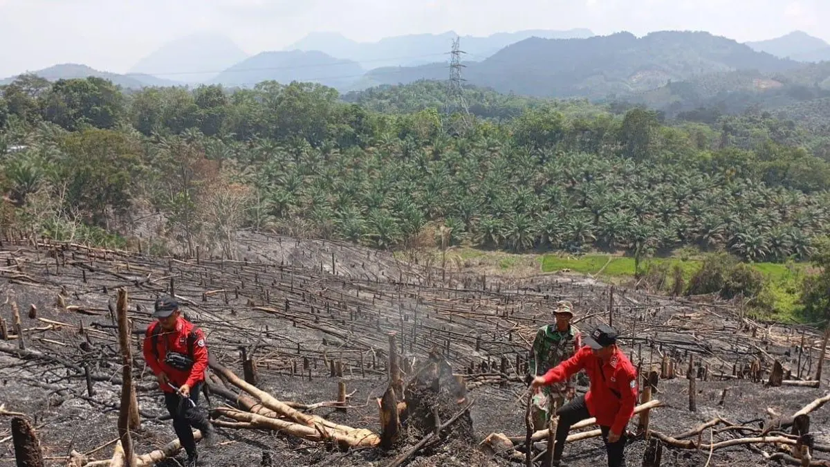 Respons cepat tim gabungan menyisiri perbukitan Bengkayang untuk mencegah karhutla. (ANTARA/Narwati)