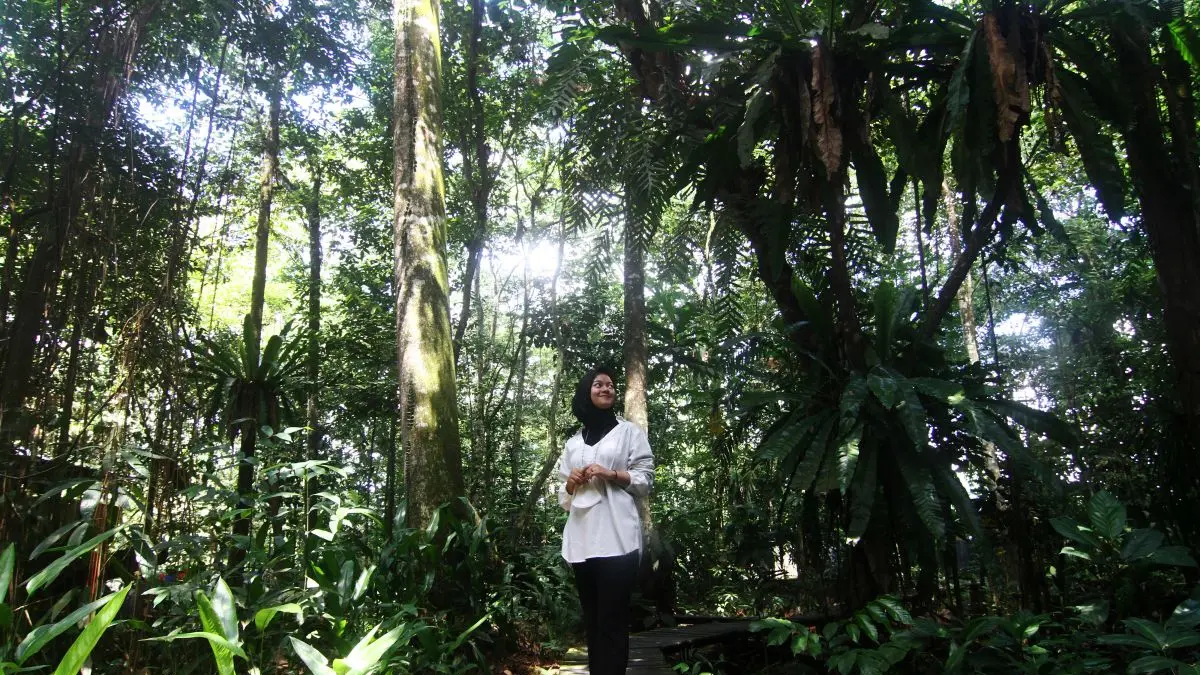 Seorang pengunjung menyaksikan pemandangan miniatur hutan tropis Arboretum Sylva Universitas Tanjungpura, beberapa waktu lalu. Hutan ini menjadi salah satu ruang terbuka hijau yang berada di tengah Kota Pontianak. (ANTARA /Jessica) 