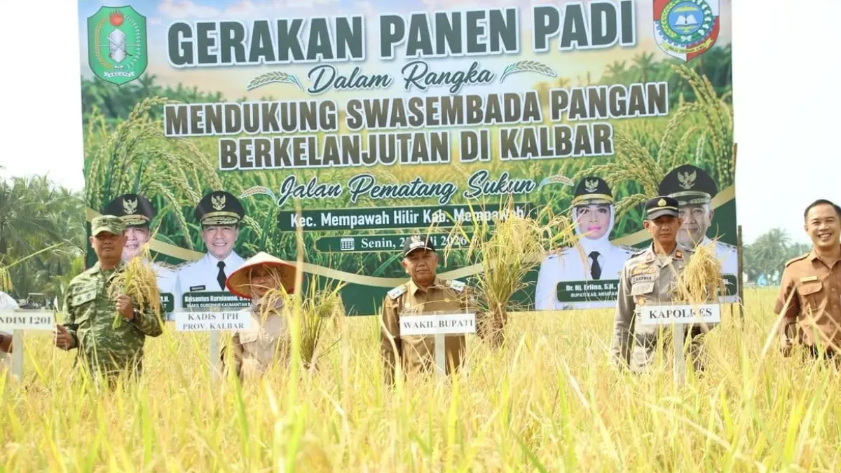Wabup Mempawah, Juli Suryadi Burdadi saat menghadiri panen raya padi Poktan Sinta.
