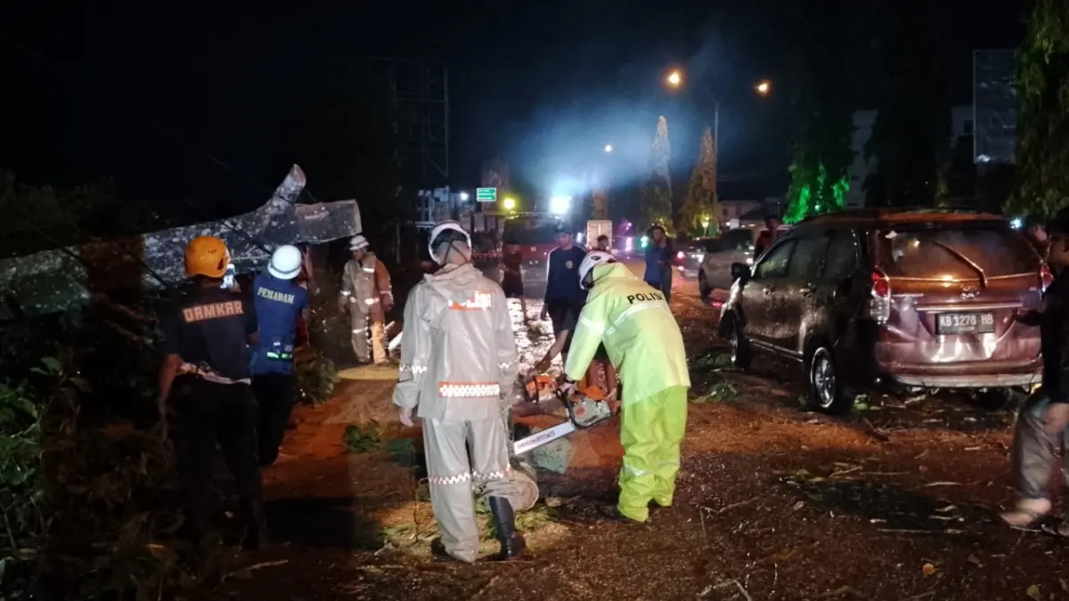 Petugas memangkas batang pohon tumbang di depan Qubu Resort, Kecamatan Sungai Raya, Kabupaten Kubu Raya, Jumat (31/7). (ISTIMEWA)