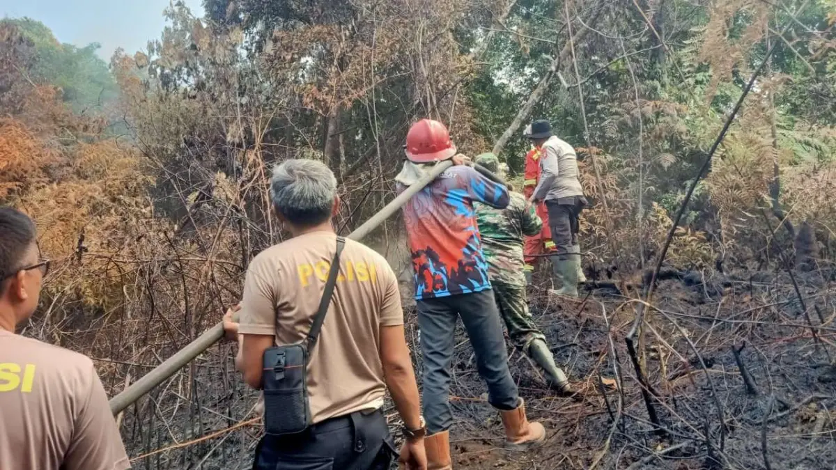 Tim gabungan berjibaku memadamkan bara api yang kembali menyala di lahan bekas karhutla di kawasan Tikungan S, Tayan Hilir, Sanggau. Pendinginan dilakukan untuk mencegah api kembali meluas di tengah musim kemarau.